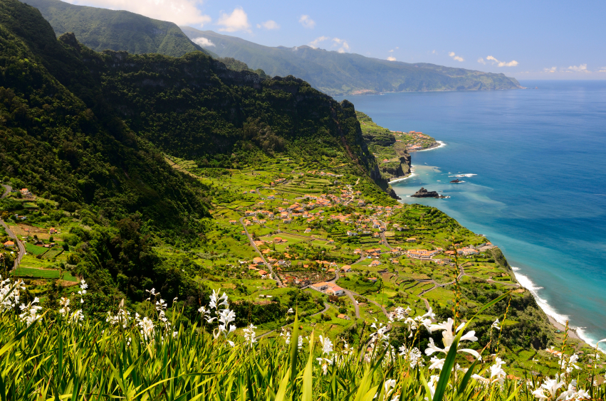 Madeira bietet eine atemberaubende Flora und Fauna in noch unberührter Natur