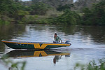 Pantanal